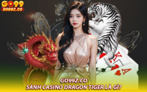 Sảnh casino Dragon Tiger là gì?